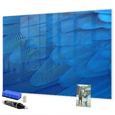 Dry erase board magnetic Blue board for photos and notes