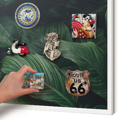 Decorative magnet board with a white frame The greenery of nature
