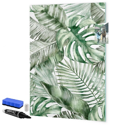 Dry erase board magnetic Green board for photos and notes