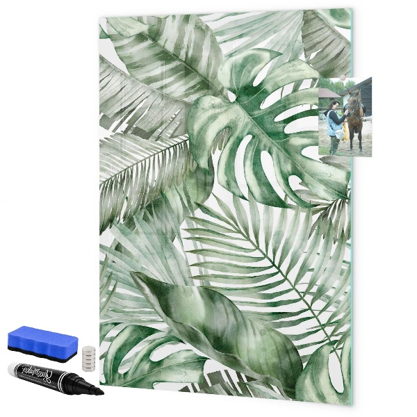 Dry erase board magnetic Green board for photos and notes