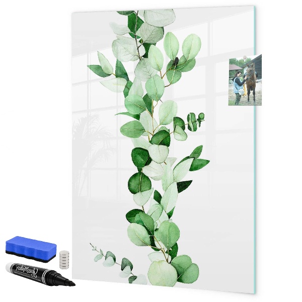 Dry erase board magnetic Green motif with space for photos