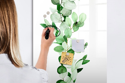 Dry erase board magnetic Green motif with space for photos