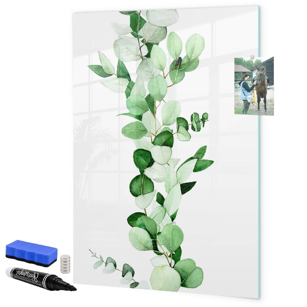 Dry erase board magnetic Green motif with space for photos