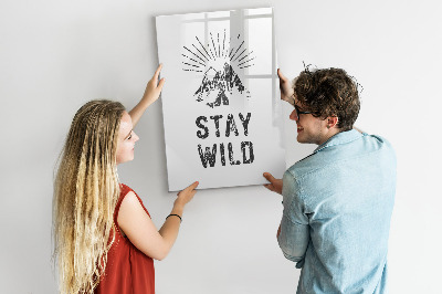 Dry erase board magnetic A creative space for memories and photos