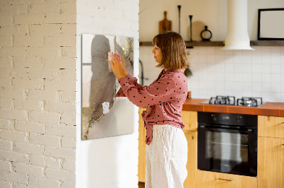 Dry erase board magnetic Stylish board for photos and notes