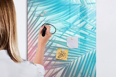 Dry erase board magnetic Background with palm trees and photos to pin