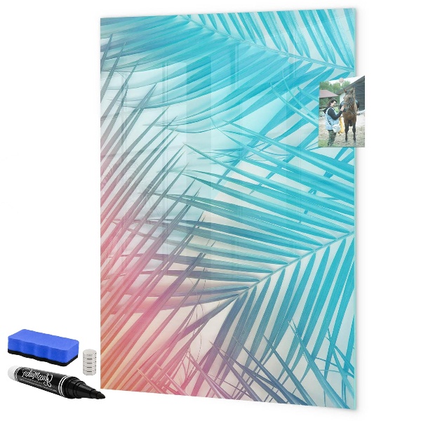 Dry erase board magnetic Background with palm trees and photos to pin