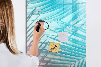 Dry erase board magnetic Background with palm trees and photos to pin