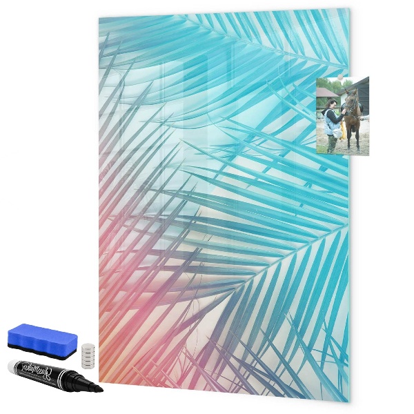 Dry erase board magnetic Background with palm trees and photos to pin