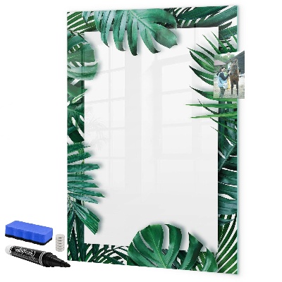 Dry erase board magnetic Green board for presenting photos