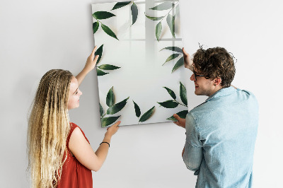 Dry erase board magnetic Green board for photos and notes