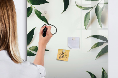 Dry erase board magnetic Green board for photos and notes