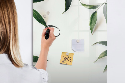 Dry erase board magnetic Green board for photos and notes