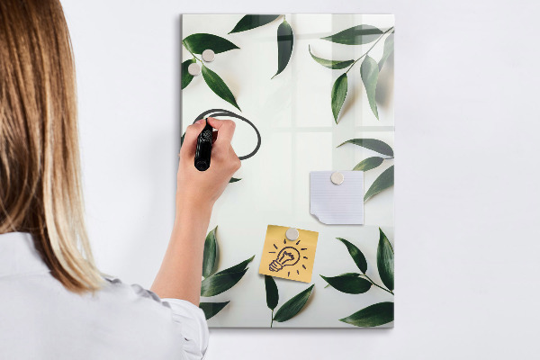 Dry erase board magnetic Green board for photos and notes