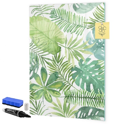 Magnetic dry erase board Green board with space for photos