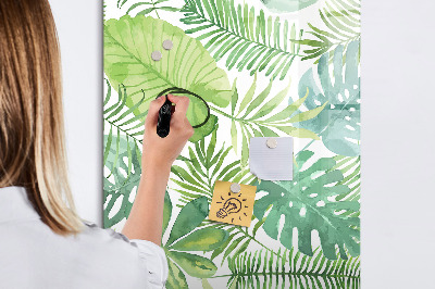 Magnetic dry erase board Green board with space for photos