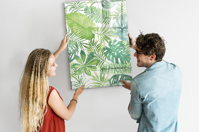 Magnetic dry erase board Green board with space for photos
