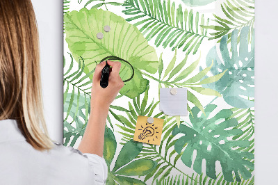Magnetic dry erase board Green board with space for photos