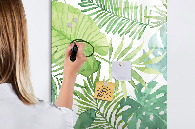 Magnetic dry erase board Green board with space for photos
