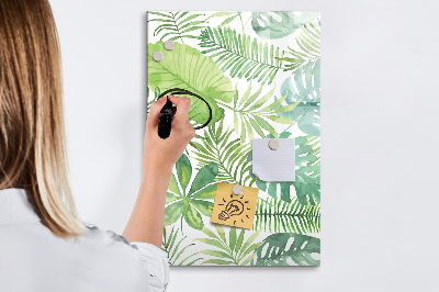 Magnetic dry erase board Green board with space for photos