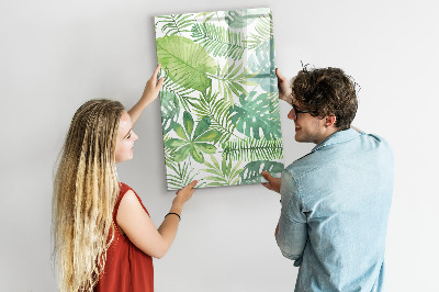 Magnetic dry erase board Green board with space for photos