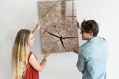 Magnetic dry erase board A natural background for photos and notes