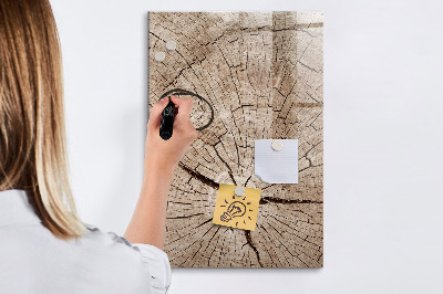 Magnetic dry erase board A natural background for photos and notes
