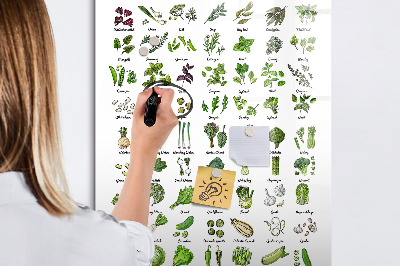 Dry erase board magnetic Green vegetables and herbs in graphics