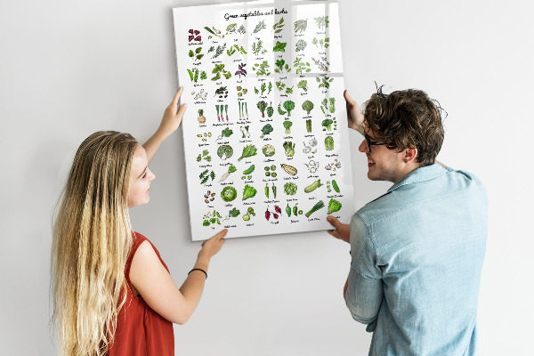 Dry erase board magnetic Green vegetables and herbs in graphics