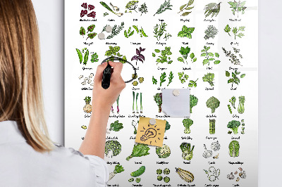 Dry erase board magnetic Green vegetables and herbs in graphics