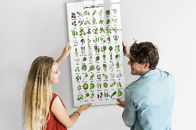 Dry erase board magnetic Green vegetables and herbs in graphics