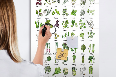 Dry erase board magnetic Green vegetables and herbs in graphics