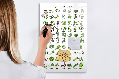 Dry erase board magnetic Green vegetables and herbs in graphics