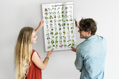 Dry erase board magnetic Green vegetables and herbs in graphics