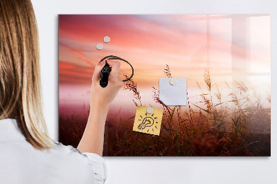 Dry erase board magnetic A creative space for presenting photos