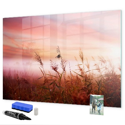 Dry erase board magnetic A creative space for presenting photos
