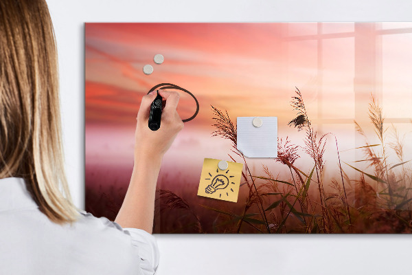Dry erase board magnetic A creative space for presenting photos