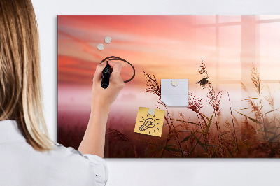 Dry erase board magnetic A creative space for presenting photos