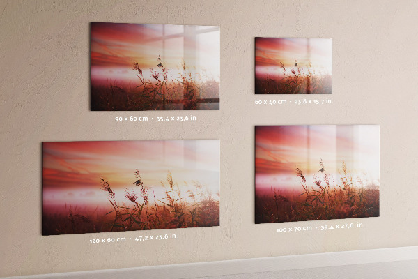 Dry erase board magnetic A creative space for presenting photos