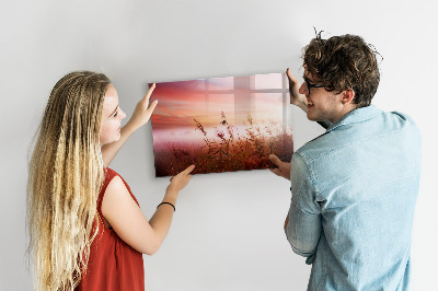 Dry erase board magnetic A creative space for presenting photos