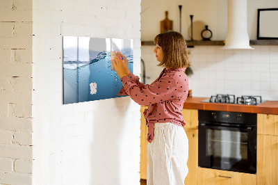 Magnetic dry erase board Water background with photos and accessories