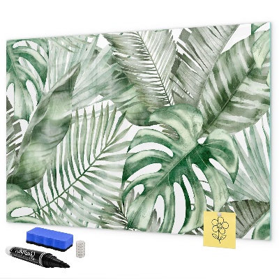 Magnetic dry erase board Green poster with photos and accessories