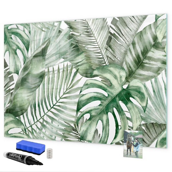 Magnetic dry erase board Green poster with photos and accessories