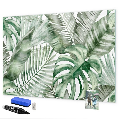 Magnetic dry erase board Green poster with photos and accessories