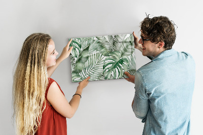 Magnetic dry erase board Green poster with photos and accessories