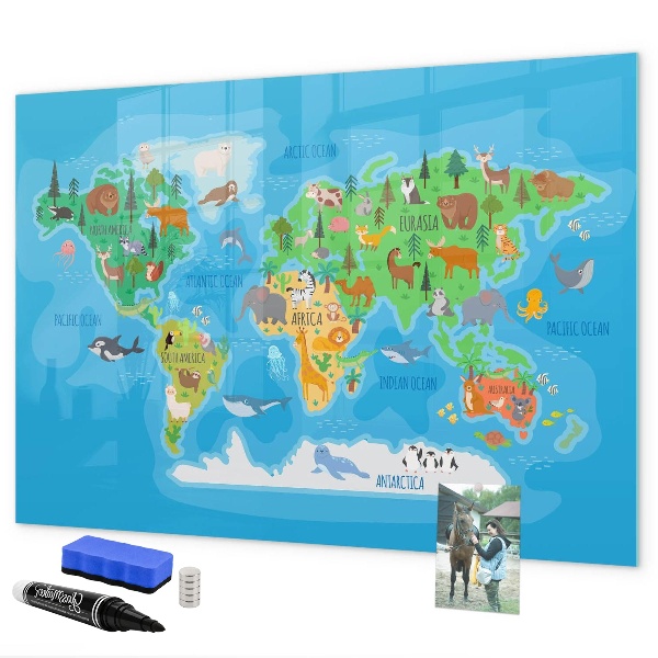 Dry erase board magnetic Colorful world map with magnets