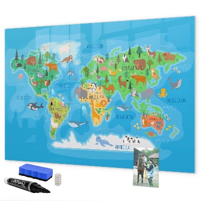 Dry erase board magnetic Colorful world map with magnets