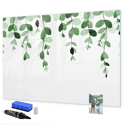 Dry erase board magnetic Green leaves and photos on the wall
