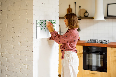 Dry erase board magnetic Green leaves and photos on the wall