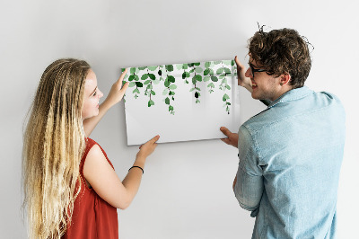 Dry erase board magnetic Green leaves and photos on the wall